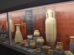 Ciudad de Elche 2022